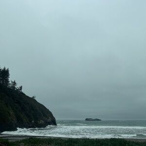 Meet your Posher, Elsa